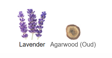 Lavender Oud 50ml